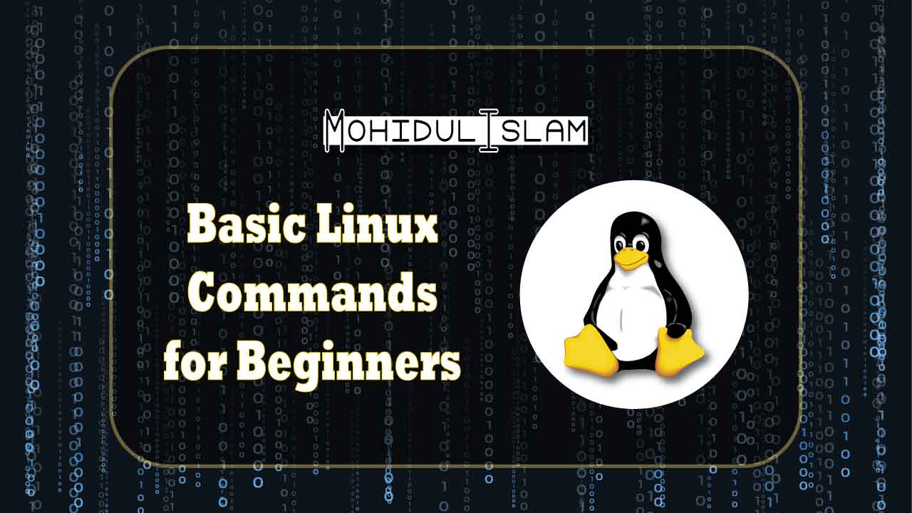 Basic Linux Commands for Beginners